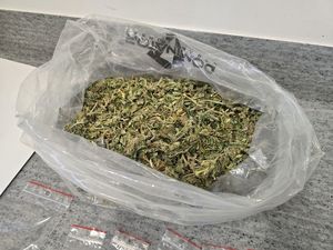 susz marihuany w woreczku