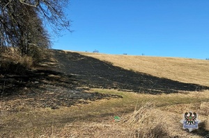 Częściowo spalona łąka