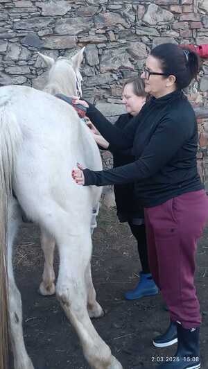 dwie kobiety czeszą konia