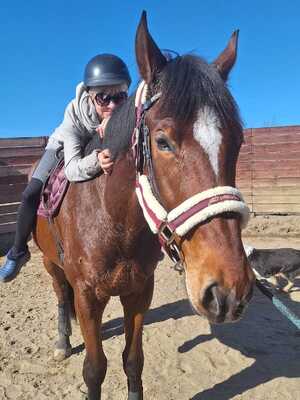 kobieta leży na koniu