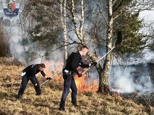 policjanci gaszą płonące trawy