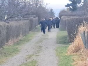 policjanci szukają seniorów