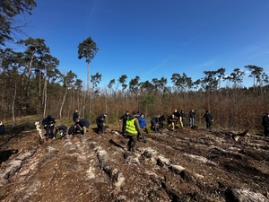 policjanci podczas akcji sadzenia lasu e mundurach przy sadzonkach