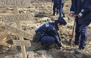 policjanci podczas akcji sadzenia lasu e mundurach przy sadzonkach