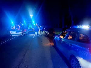 radiowóz, karetka, straż pożarna i samochód po kolizji na poboczu