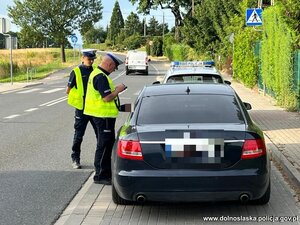policyjne kontrole