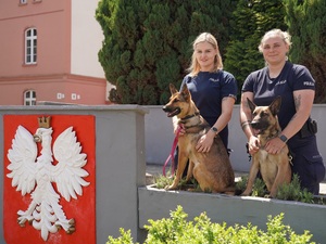 Zdjęcia z mistrzostw kynologicznych. Policyjni przewodnicy z psami