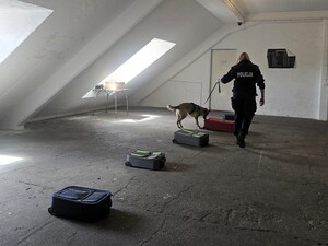 Zdjęcia z mistrzostw kynologicznych. Policyjni przewodnicy z psami