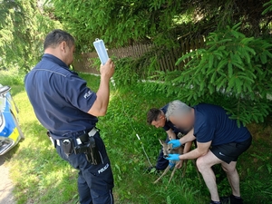 policjanci podają kroplówkę koźlęciu