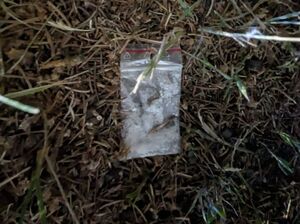 biały kryształ w woreczku strunowym na trawie