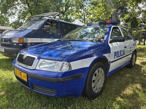 policjanci podczas festynu