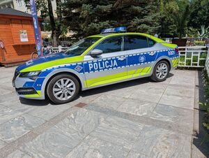 policjanci podczas pikniku motoryzacyjnego