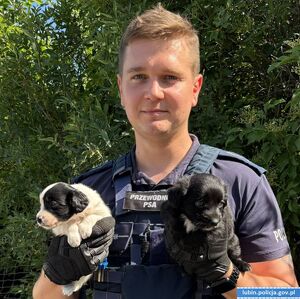 policjant z dwoma pieskami