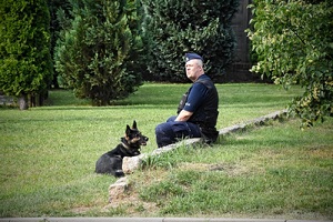 wręczenie pucharów w zawodach kynologicznych