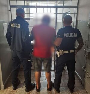 pojazd ciężarowy i zatrzymany kierowca