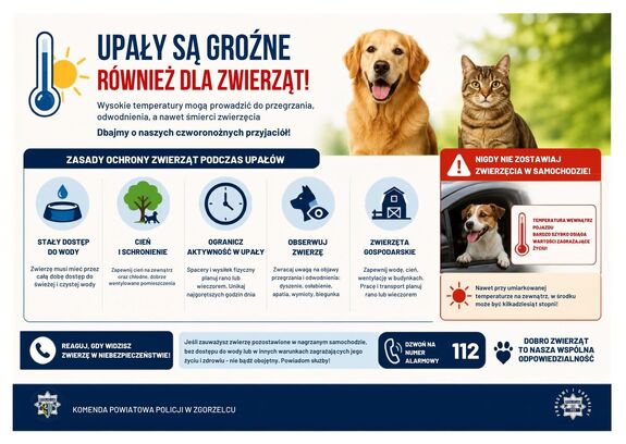 Plakat z napisami dotyczącymi upałów, które mogą być zagrożeniem dla zwierząt domowych. W tle widać grafikę psa i kota.
