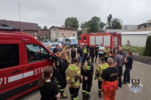 zdjęcie z akcji poszukiwawczej