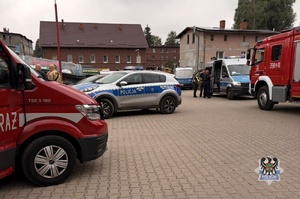 zdjęcie z akcji poszukiwawczej