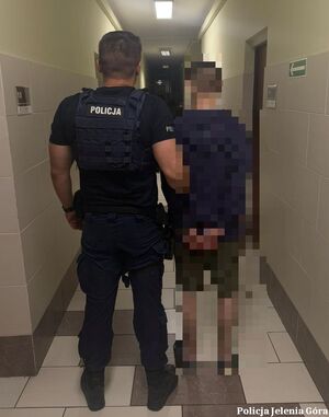 policjanci areszt