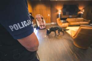 Policjanci z psami służbowymi podczas szkolenia na wrocławskim lotnisku