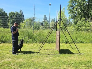 Zdjęcia przedstawiające policjantów różnych pionów