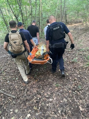 Na zdjęciu widać kilku mężczyzn, którzy transportują pokrzywdzonego na noszach.