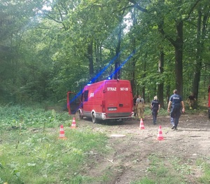 W lesie znajduje się pojazd straży pożarnej. Na zdjęciu widać też dwóch funkcjonariuszy, jeden z nich ma policyjny mundur.