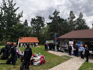 mistrzostwa