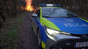 policja wieczorową porą w lesie