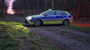 policja wieczorową porą w lesie
