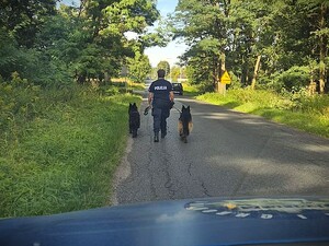 pieski idące drogą z policjantem