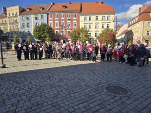 Dzierżoniowskie policjantki wsparły kampanię „Różowa Wstążeczka”