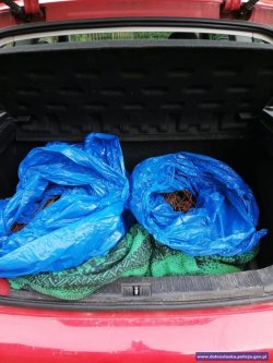 Przewody miedziane w workach znalezione w wyniku przeszukania w pojeździe jednej z zatrzymanych osób