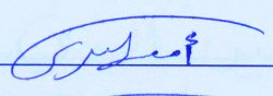 Fragment nieczytelnego podpisu