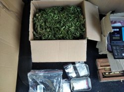 Na zdjęciu marihuana w kartonowym pudełku, woreczki strunowe i waga.