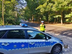 policjantka mierzy prędkość przejeżdżajacych samochodów na drodze w lesie