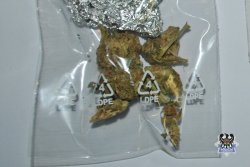 Na zdjęciu zabezpieczone przez policjantów narkotyki w postaci suszu marihuany w woreczku foliowym.