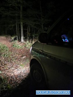 Na zdjęciu policyjny radiowóz przednimi światłami oświetla teren leśny