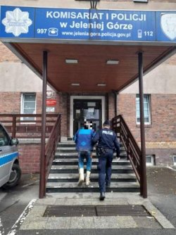 Na zdjęciu policjant prowadzi zatrzymanego mężczyznę z kajdankami na rękach schodami do Komisariatu I Policji w w Jeleniej Górze.