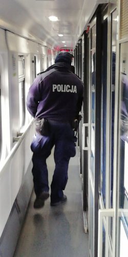 Na zdjęciu policjant w przedziale pociągu.