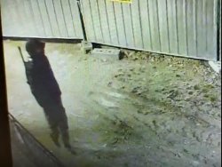 Na zdjęciu mężczyzna, który ukradł kabel - zdjęcie z kamery przemysłowej na terenie przed szpitalem.