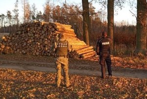 Na zdjęciu policjant i strażnik leśny patrolują lasy powiatu lubańskiego.