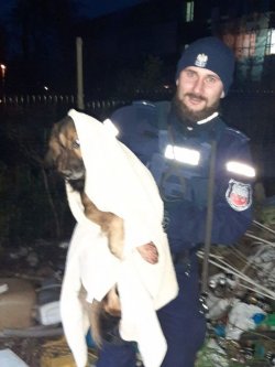 Na zdjęciu policjant trzyma na rękach zawiniętego w kocyk psa.
