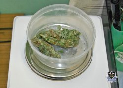Na zdjęciu kolejne zabezpieczone narkotyki w postaci marihuany znajdującej się w plastikowym okrągłym pojemniku.