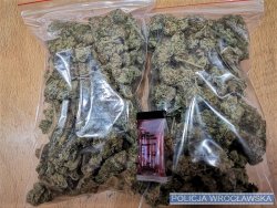 Na zdjęciu w dwóch woreczkach zabezpieczone środki odurzające w postaci marihuany i policyjny tester.