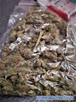 Zdjęcie przedstawia worek z suszem roślinnym - marihuaną.