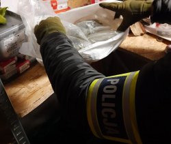 Na zdjęciu policjant pokazuje zawartość worka foliowego w którym znajduje się marihuana.