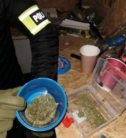 Na zdjęciu policjant operacyjny, który pokazuje zawartość pojemników, w których znajduje się marihuana.