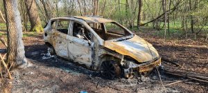 spalone auto w lesie