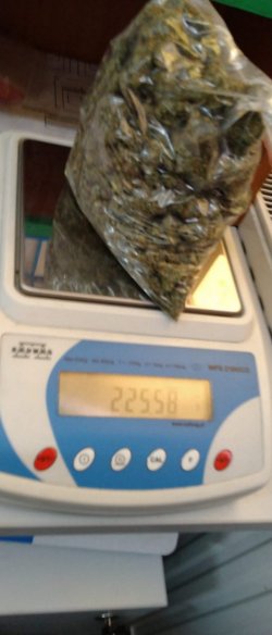 Na zdjęciu widać worek wypełniony marihuaną, który leży na wadze elektronicznej.